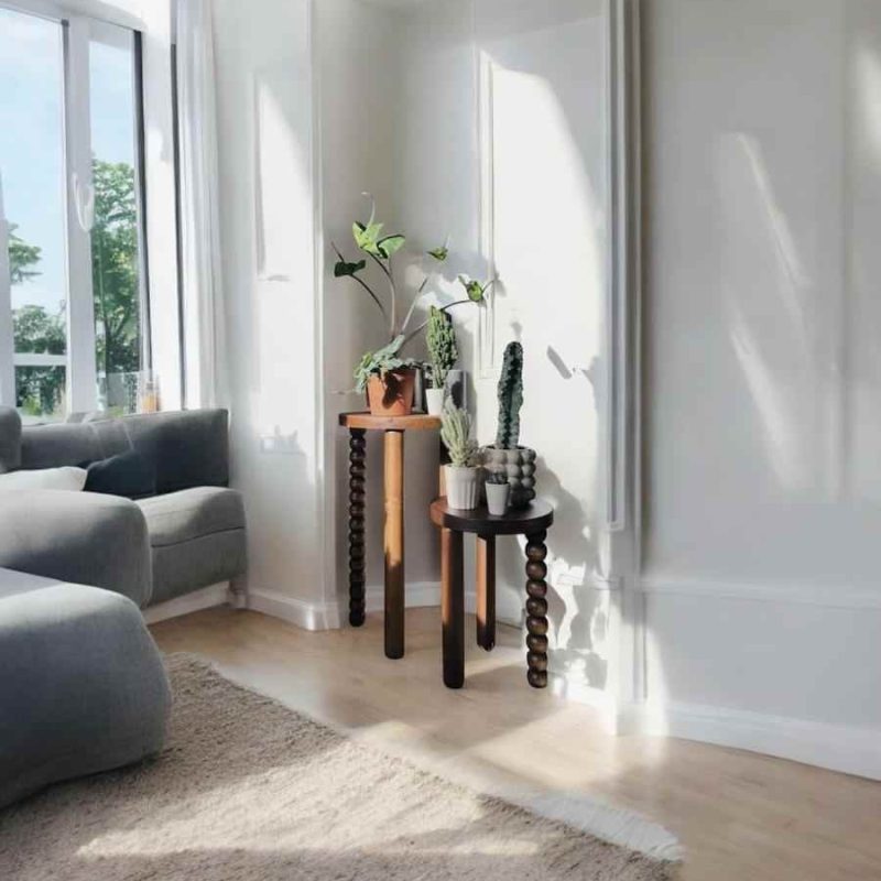 Organik tasarım mantar sehpa