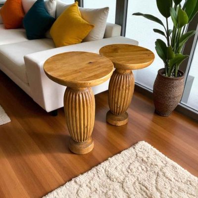 Mantar görünümlü doğal zigon sehpa takımı